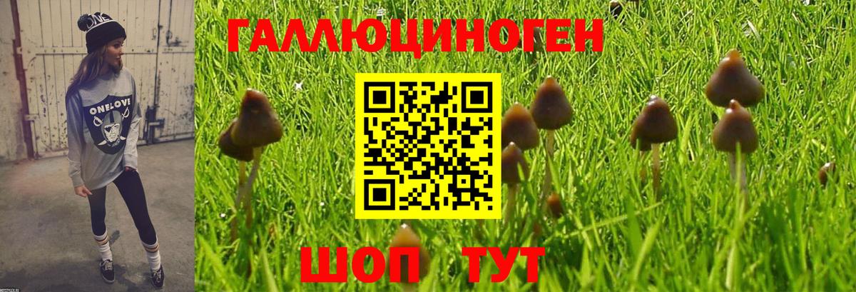 Галлюциногенные грибы Psilocybine cubensis  Вход с VPN  Шелехов 