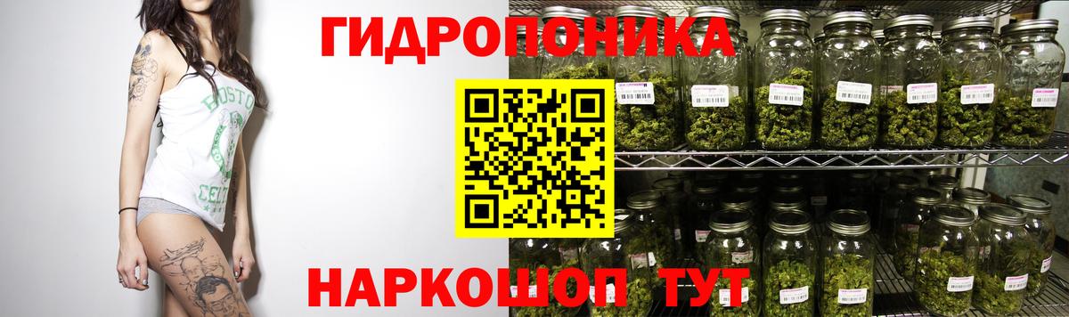Шелехов  Шишки марихуана Bruce Banner  Бошки Шишки конопля  Вход с VPN  Каннабис марихуана 